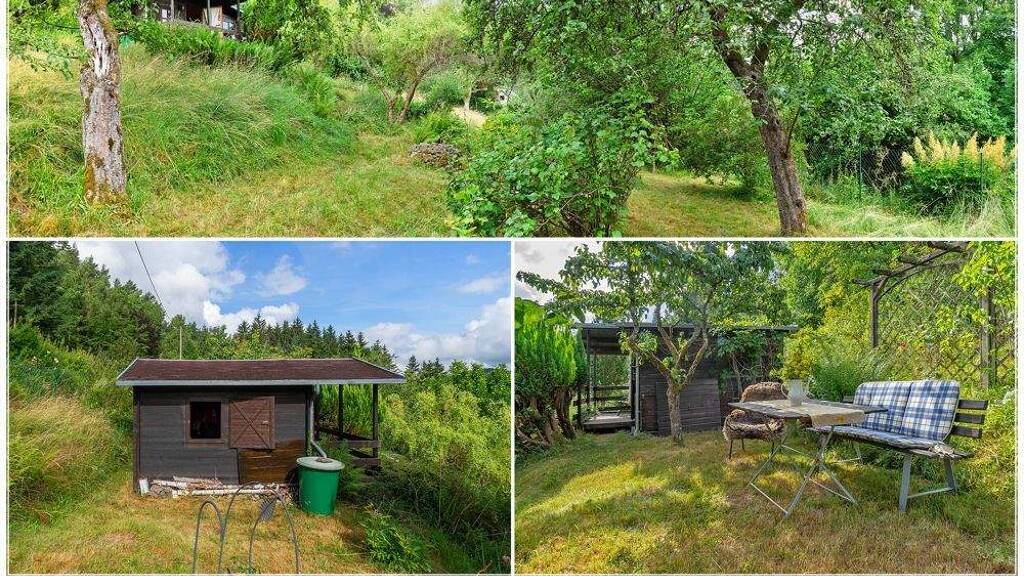 Freizeitgrundstück zum Kauf 16.000 € 1.156 m² Grundstück Löffeltal Suhl 98527