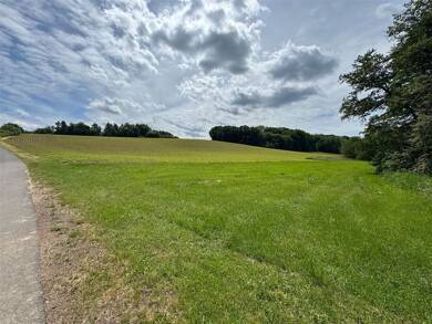 Landwirtschaftliche Fläche zum Kauf 60.105 m² Grundstück Laimbach Reckendorf 96182