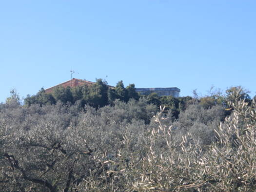 Reiterhof zum Kauf provisionsfrei 105.000 € 120 m² 14.000 m² Grundstück Niebla 21840