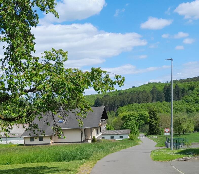 Land-/Forstwirtschaft zum Kauf Veitsrodt 55758