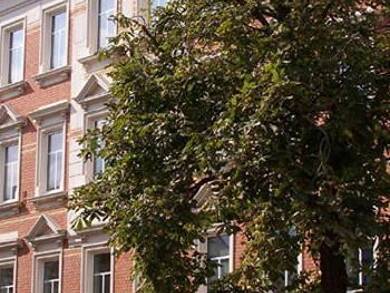Wohnung zur Miete 250 € 1 Zimmer 50 m² 2. Geschoss frei ab sofort Schillerstraße 7a Innenstadt Riesa 01589