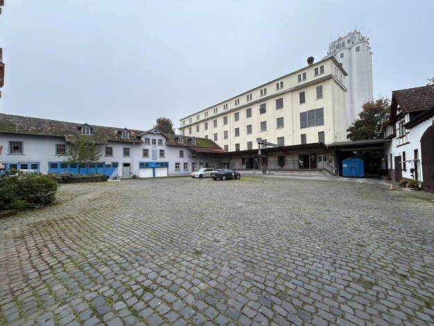 Lagerhalle zum Kauf provisionsfrei 4.126 m² Lagerfläche Mühlenstraße 9b Assenheim Niddatal-Assenheim 61194