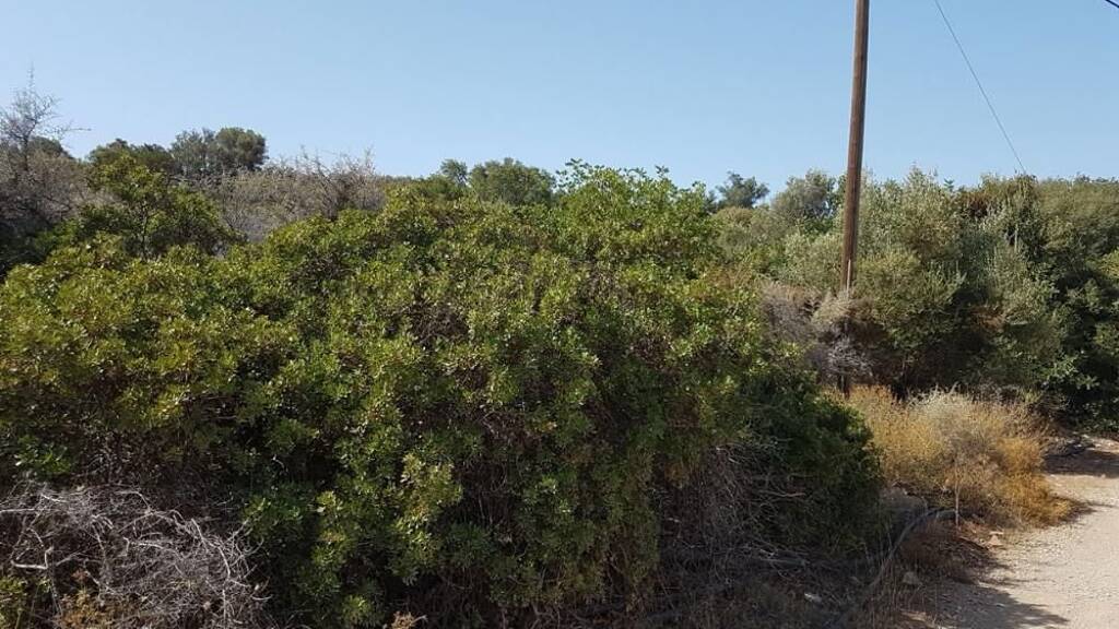 Grundstück zum Kauf 180.000 € 5.752 m² Grundstück Kreta Sisi 720 54