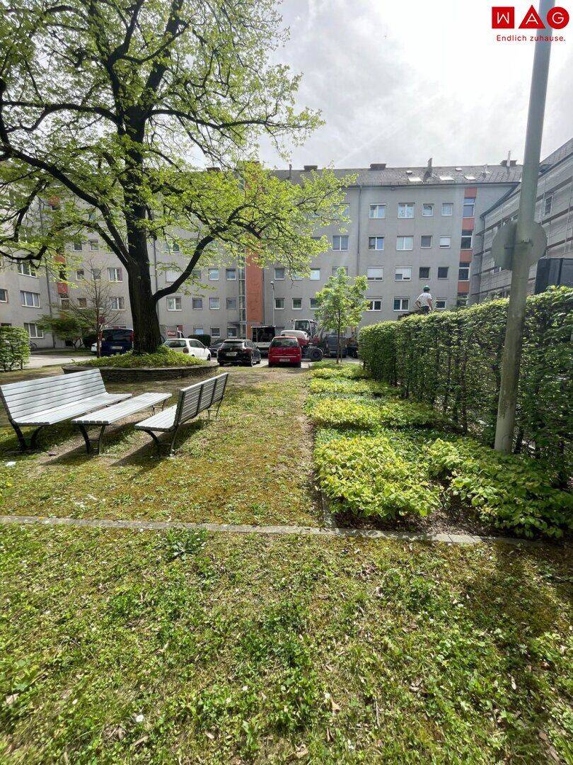Wohnung – Linz, Bindermichl, Bindermichl-Keferfeld - Ansicht 2