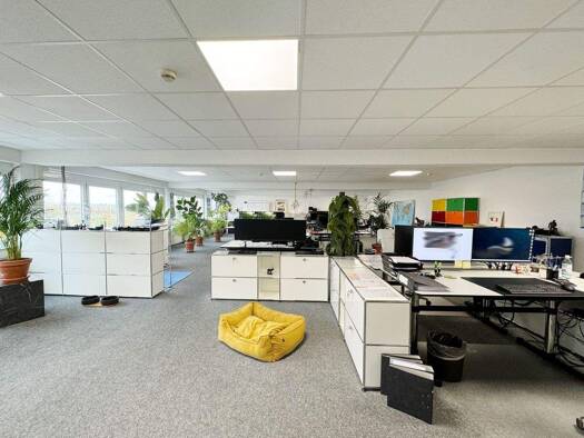 Büro zur Miete 2.000 € 1 Zimmer 200 m² Bürofläche Am Grünen Weg 2 a Kelsterbach 65451