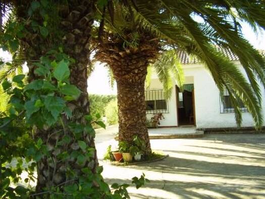 Villa zum Kauf 270.000 € 4 Zimmer 120 m² 1.392 m² Grundstück Rociana del Condado 21720