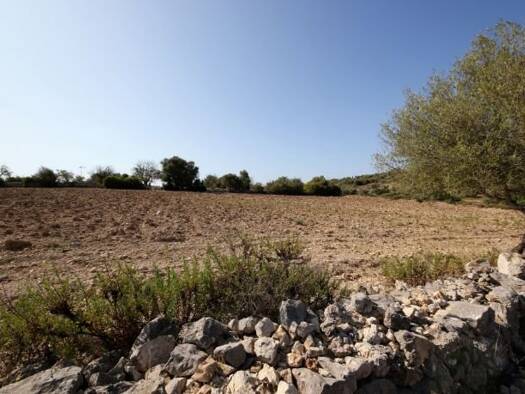 Haus zum Kauf 25.000 € 3 Zimmer 5.700 m² Grundstück San Lorenzo