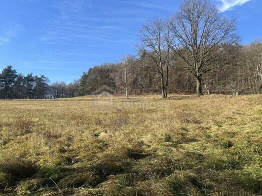 Grundstück zum Kauf 74.000 € 6.091 m² Grundstück Minihof-Liebau 8384