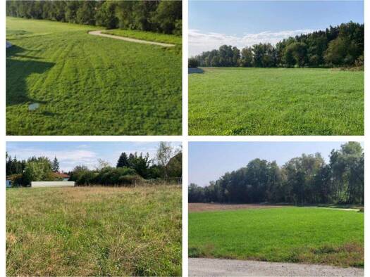 Grundstück zum Kauf 65.000 € 820 m² Grundstück Andorf 4770