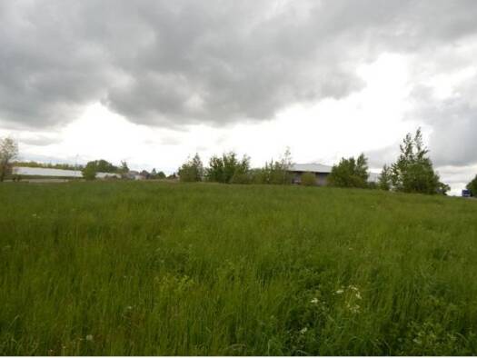 Gewerbegrundstück zum Kauf provisionsfrei 2.762 m² Grundstück Gorschmitzer Weg Leisnig Leisnig 04703