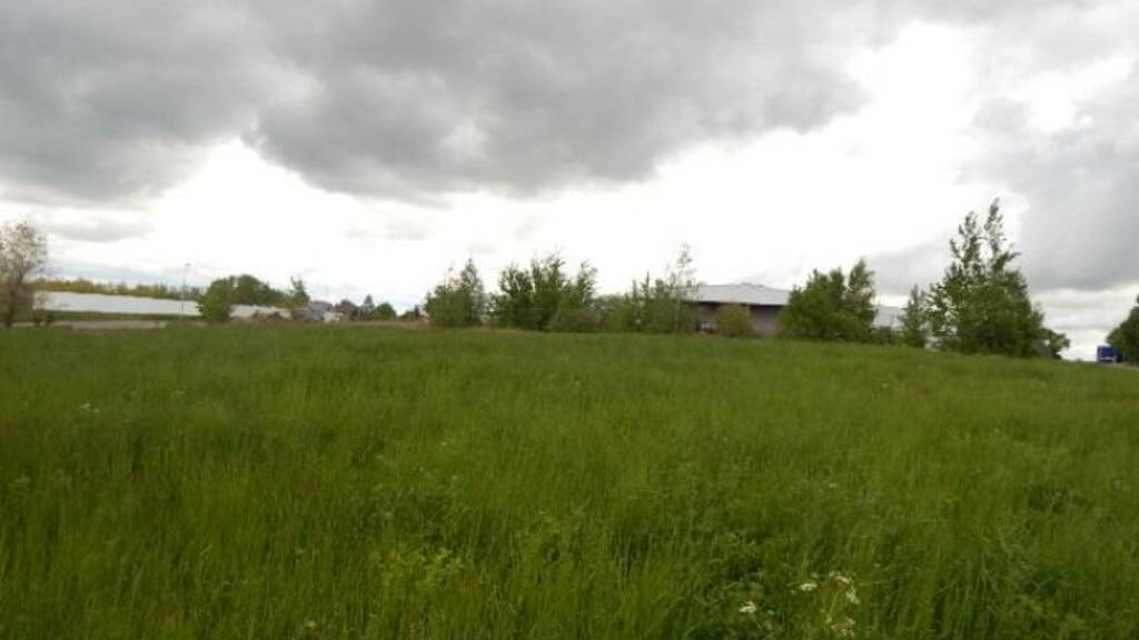 Gewerbegrundstück zum Kauf provisionsfrei 2.762 m² Grundstück Gorschmitzer Weg Leisnig 04703