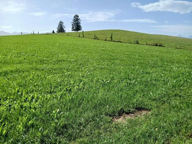 Land-/Forstwirtschaft zum Kauf 486.000 € 57.148 m² Grundstück Lechbruck Lechbruck a.See 86983