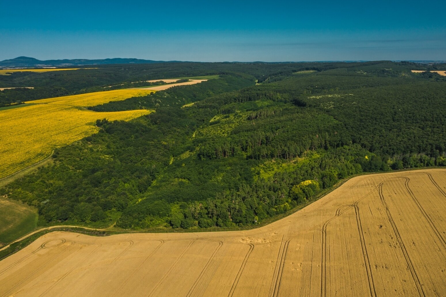 Land-/Forstwirtschaft zum Kauf 8.010 € 24.150 m²<br/>Grundstück Véménd 7726