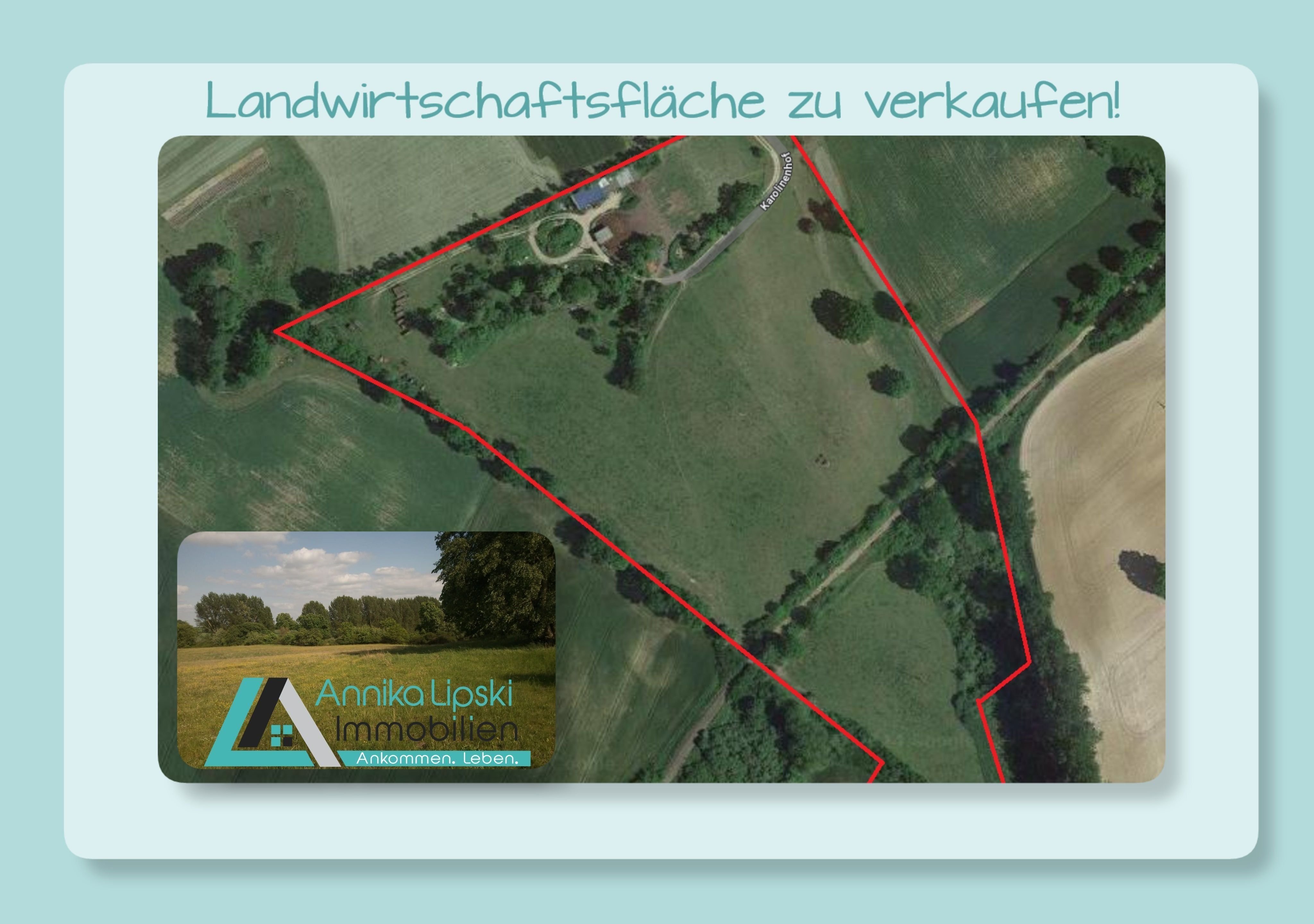 Landwirtschaftliche Fläche zum Kauf 61.114 m²<br/>Grundstück Karolinenhof Mittenwalde 17268