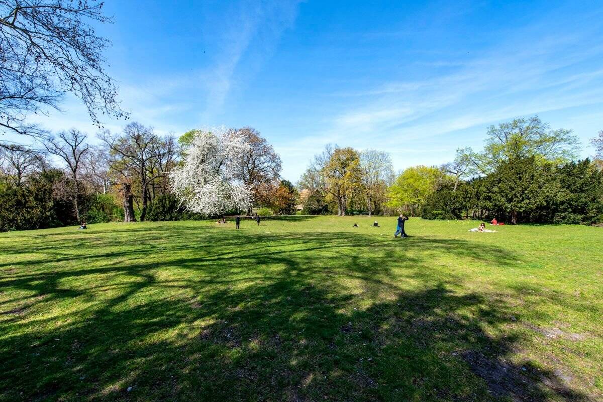 Property thumbnail 13