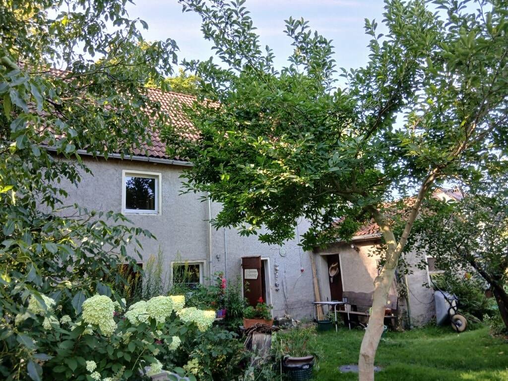 Immobilie in Oberschöna - APFELBAUM INKUSIVE! - Bild 4