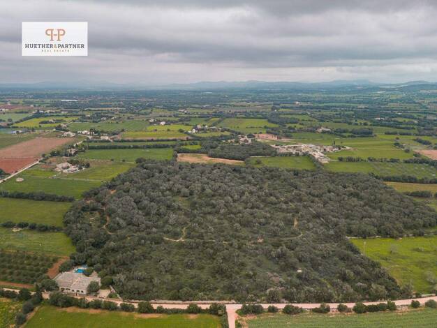 Grundstück zum Kauf 675.000 € 64.000 m² Grundstück Son Mesquida 07209