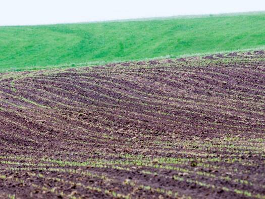 Land-/Forstwirtschaft zum Kauf 34.000 m² Grundstück Roggenburg 89297