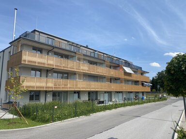 Wohnung zum Kauf 345.000 € 3 Zimmer 77,4 m² 1. Geschoss Bürmoos 5111