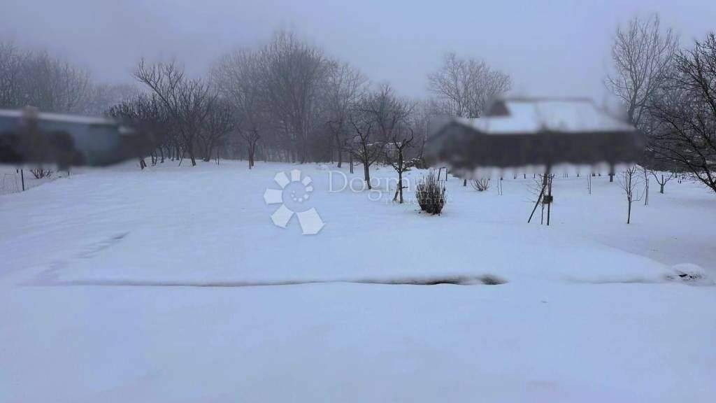 Land-/Forstwirtschaft zum Kauf 16.900 € Selnica