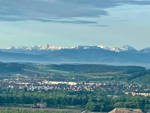 Grundstück zum Kauf 2.490 m² Grundstück Bergsiedlung Steyregg 4221