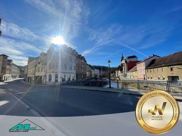 Mehrfamilienhaus zum Kauf 55.000 € 7 Zimmer 200 m² 132 m² Grundstück Weida 07570