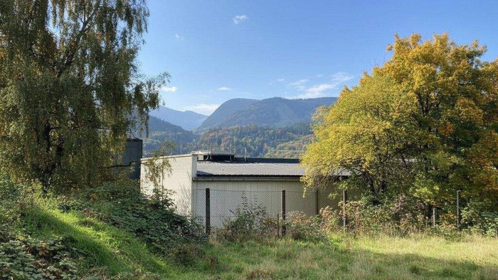 Grundstück zum Kauf 730.000 € 734 m² Grundstück Bludenz 6700