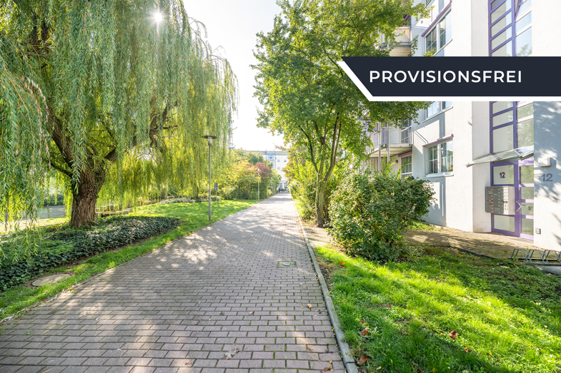 Wohnung zum Kauf provisionsfrei 62.800 € 2 Zimmer 43,1 m² 3. Geschoss Am Rebstock 12 Großkugel Großkugel 06184