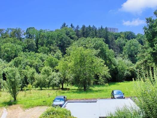 Wohnung zum Kauf 199.000 € 2 Zimmer 70 m² Olewig Trier 54295