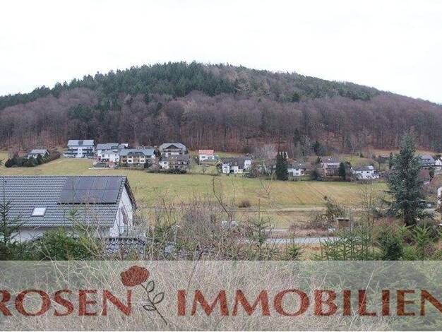 Wohnung zur Miete 450 € 2 Zimmer 50 m² Geschoss 1/3 frei ab 01.04.2026 Grasellenbach 64689