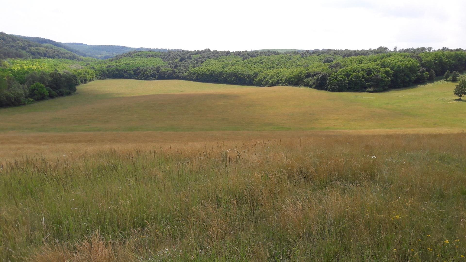 Landwirtschaftliche Fläche zum Kauf 990.000 € 330.000 m²<br/>Grundstück Iliny 2675