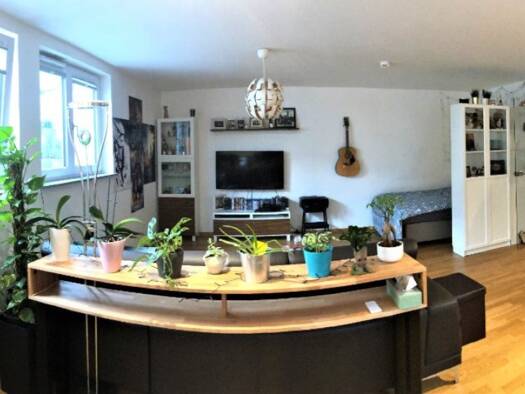 Wohnung zur Miete 720 € 1 Zimmer 52 m² UG frei ab sofort Zeppelinstraße 14 Innenstadt Erlangen 91052