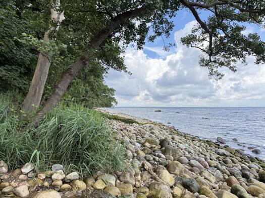 Hotel zum Kauf 765.000 € 9 Zimmer 20 Betten Nardevitz Lohme / Nardevitz 18551