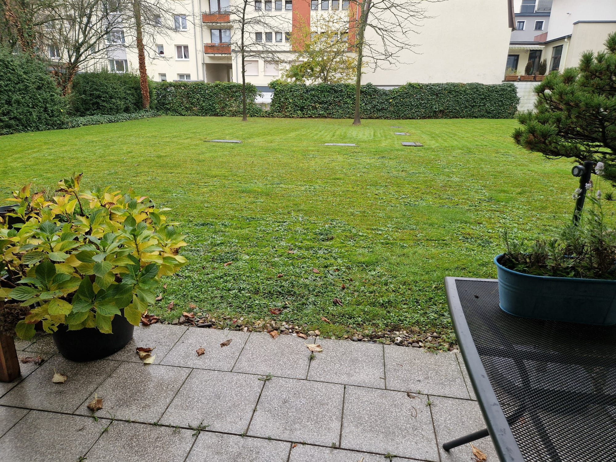 Wohnung zur Miete 850 € 3 Zimmer 83 m²<br/>Wohnfläche EG<br/>Geschoss Solingen - Innenstadt Solingen 42651