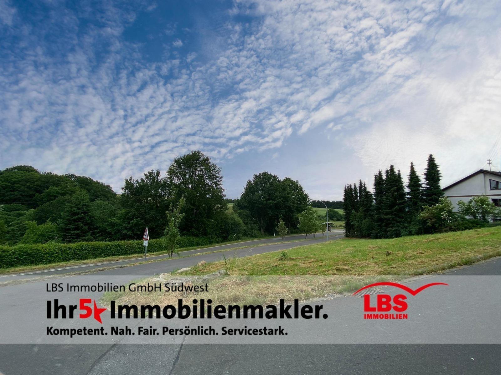 Grundstück zum Kauf 45.000 € 995 m²<br/>Grundstück Hennweiler 55619