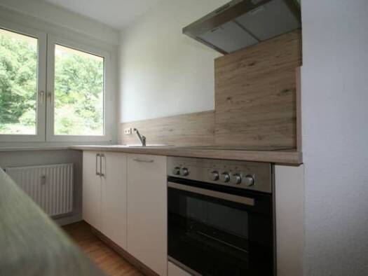 Wohnung zur Miete 309 € 2 Zimmer 48,9 m² 3. Geschoss frei ab sofort Fritz-Heckert-Siedlung 55 Hohenstein-Ernstthal 09337