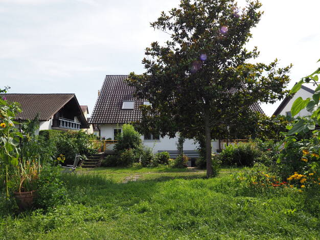 Immobilie zum Kauf provisionsfrei als Kapitalanlage geeignet 168.000 € 3 Zimmer 65 m² Waldsee 67165