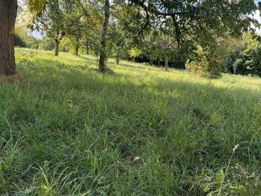 Grundstück zum Kauf 170.000 € 490 m² Grundstück Weiler Keltern 75210