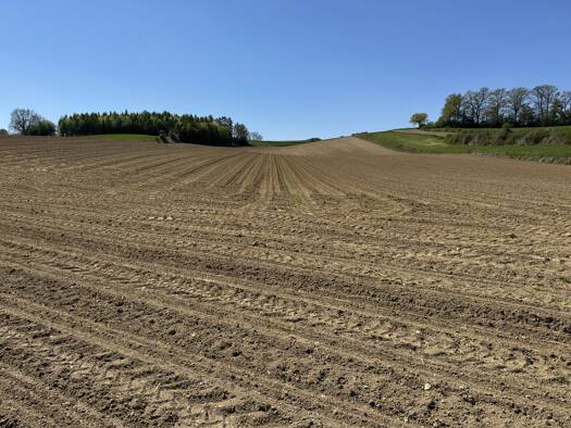 Land-/Forstwirtschaft zum Kauf 427.155 € 28.477 m² Grundstück Mamming Mamming 94437