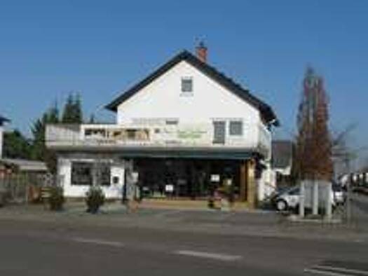 Gewerbeobjekt zum Kauf 699.000 € 8 Zimmer 204,6 m² 1.074,5 m² Grundstück Oberlacher Straße 32 Lampertheim Lampertheim 68623