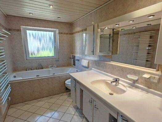 Mehrfamilienhaus zum Kauf 1.050.000 € 11 Zimmer 220 m² 767 m² Grundstück Kelsterbach 65451