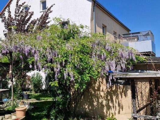 Einfamilienhaus zum Kauf 299.000 € 7 Zimmer 261 m² 1.359 m² Grundstück Polenz 04821