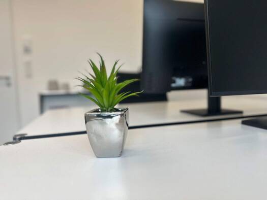 Bürofläche zur Miete provisionsfrei 299 € 4 m² Bürofläche Schloßstraße Lützen 06686