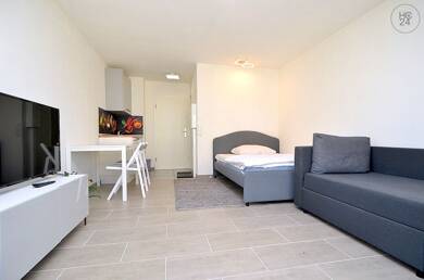 Wohnung zur Miete Wohnen auf Zeit 620 € 1 Zimmer 28 m² frei ab 01.07.2025 Stadtpark / Stadtgrenze 22 Fürth 90762