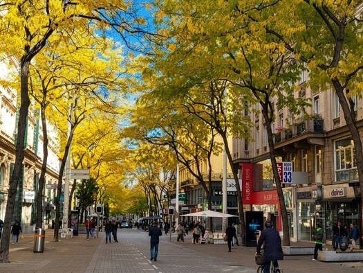 Ladenfläche zur Miete 17.900 € 79,4 m² Verkaufsfläche Mariahilf 1060