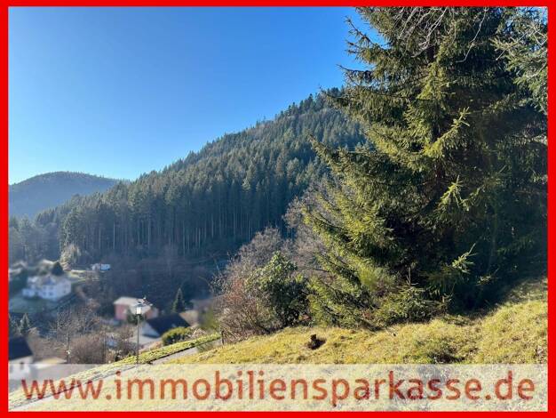 Grundstück zum Kauf 120.000 € 729 m² Grundstück frei ab sofort Bad Wildbad Bad Wildbad 75323
