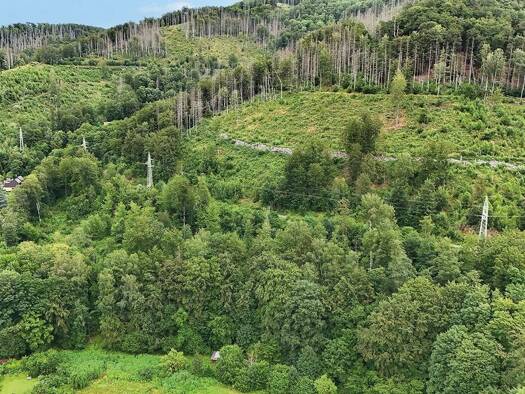 Land-/Forstwirtschaft zum Kauf 5.500 € 9.256 m² Grundstück Bad Lauterberg Bad Lauterberg 37431