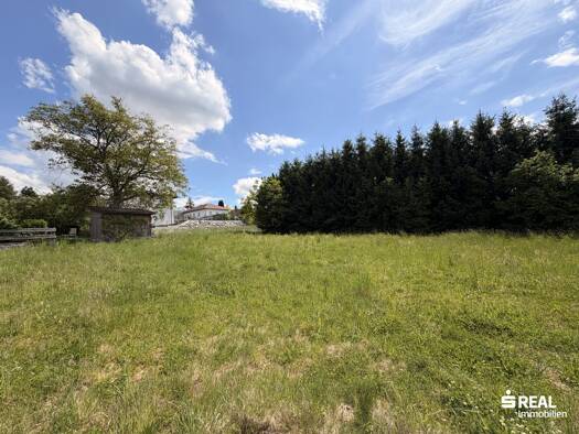 Grundstück zum Kauf 115.000 € 542 m² Grundstück Schwertberg 4311