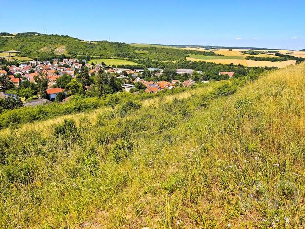 Grundstück zum Kauf 125 € 675 m² Grundstück Nordpfalzblick Alsenz 67821
