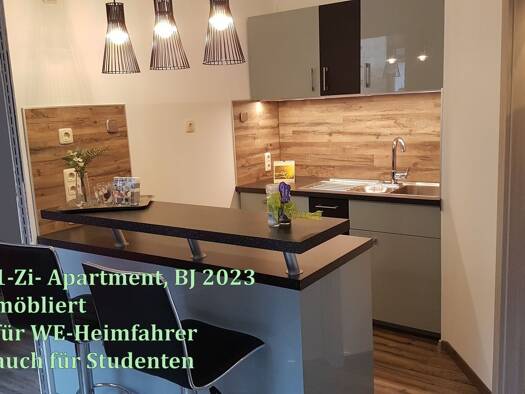 Studio zur Miete 510 € 1 Zimmer 26 m² frei ab sofort Südstadt Fürth 90763